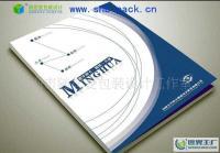 專業平面設計服務覆蓋廣州荔灣、白云、增城、南沙，助力企業畫冊設計