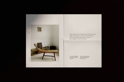 融合自然與室內(nèi) BSWL品牌形象設(shè)計(jì)在平面設(shè)計(jì)中的創(chuàng)新表達(dá)